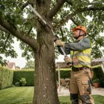 Élagueur professionnel en train de tailler les branches d'un grand chêne dans un jardin résidentiel français